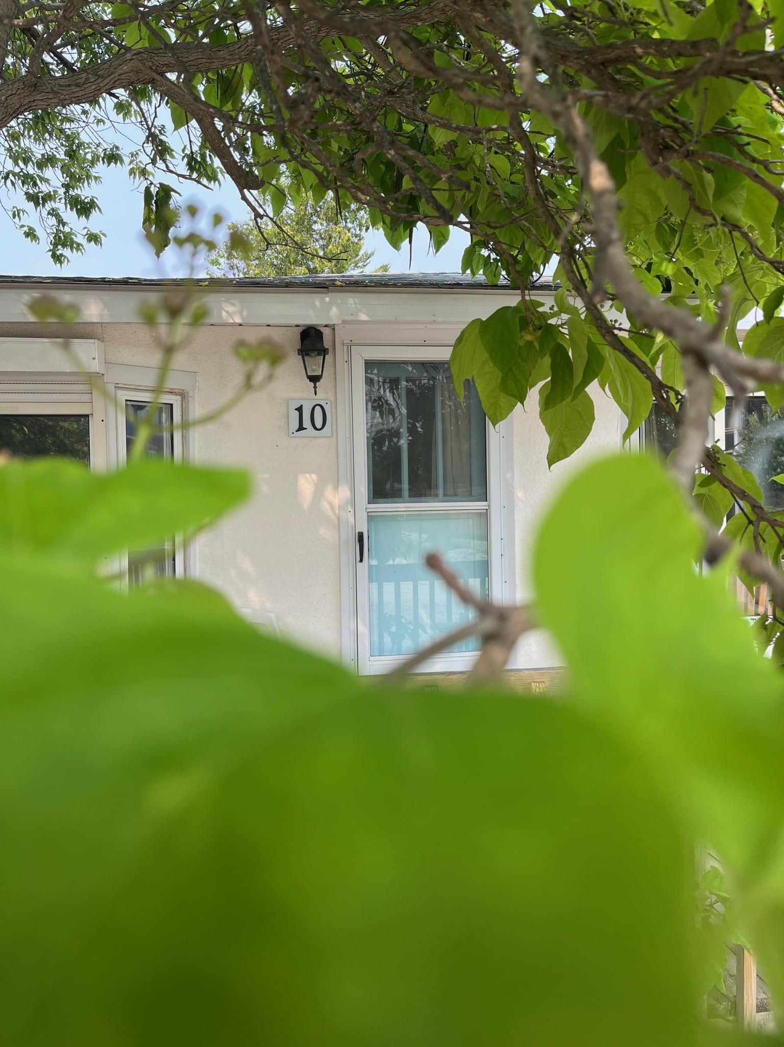 Cabin № 10 — photo 3