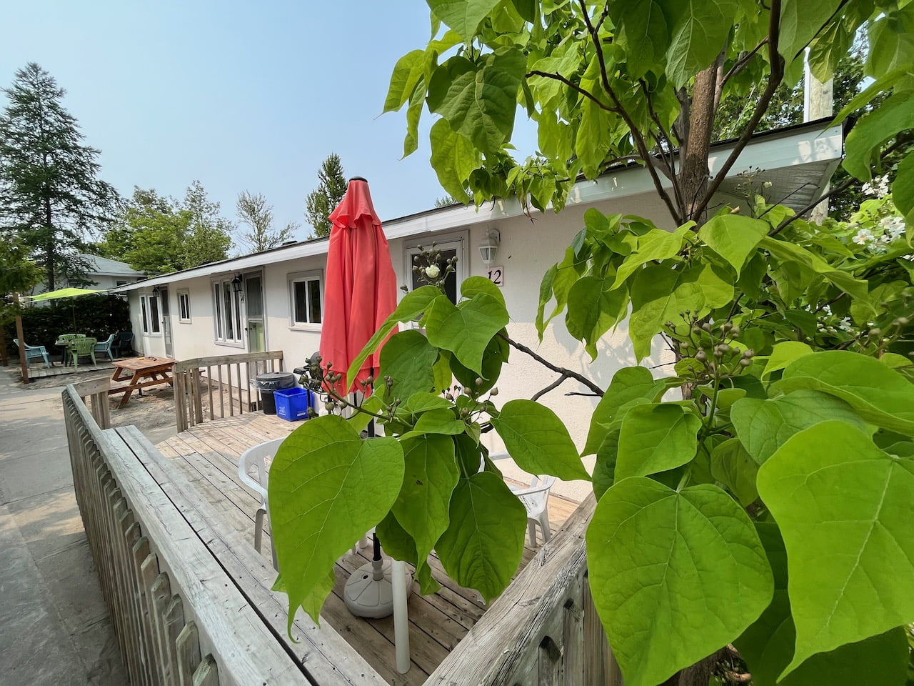 Cabin № 12 — photo 3