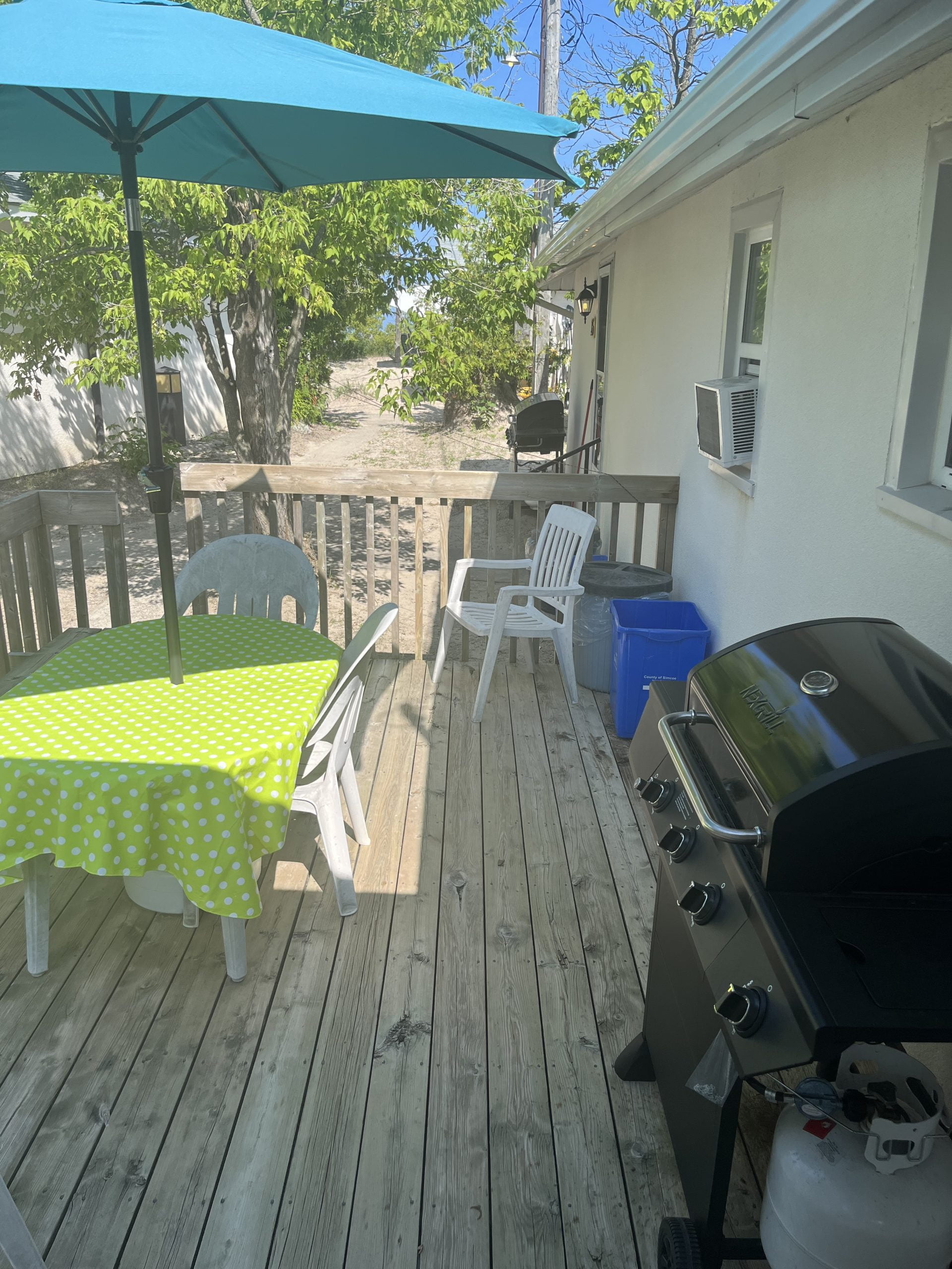 Cabin № 16 — photo 3
