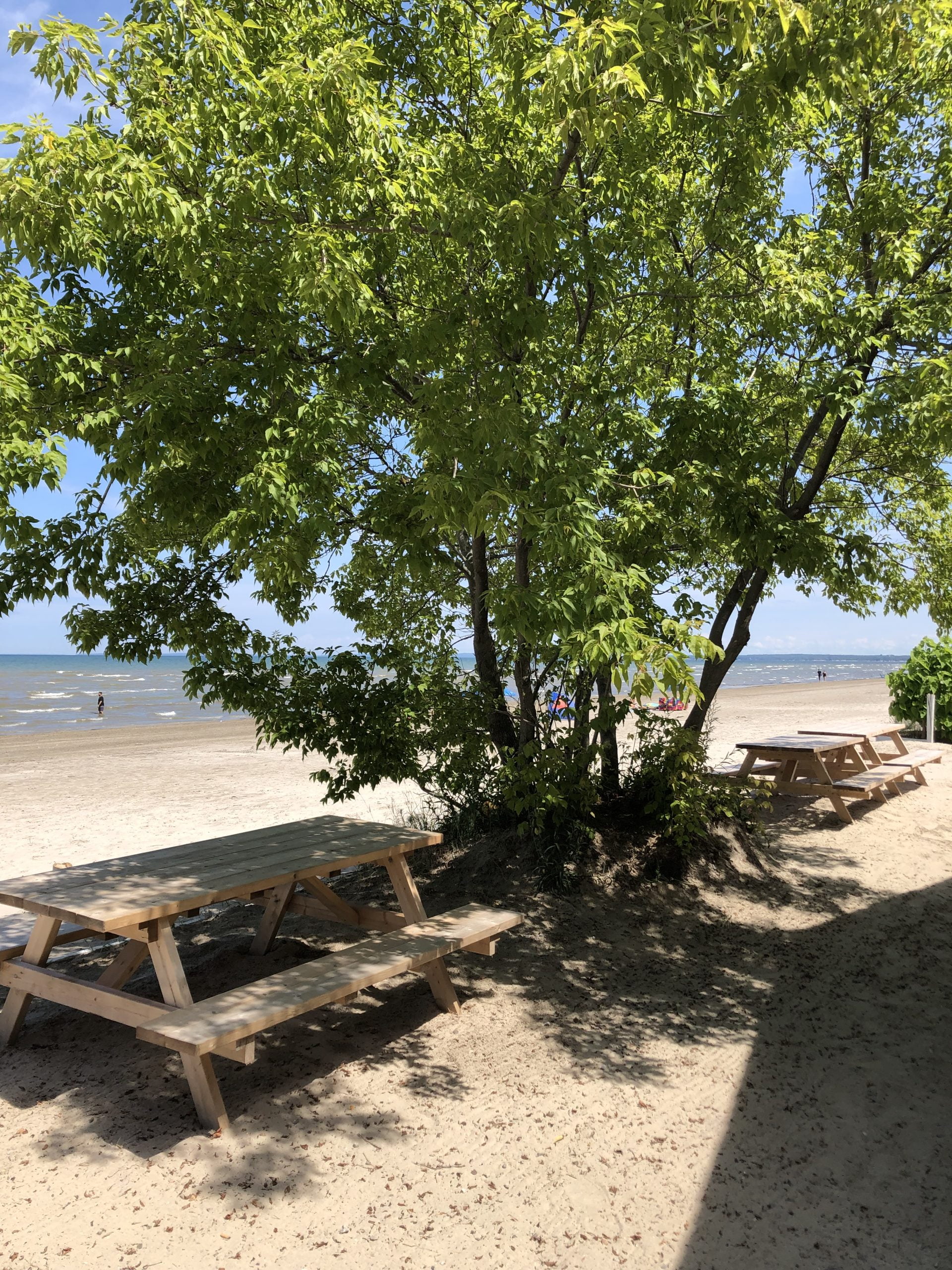 Cabin № 2 — photo 3